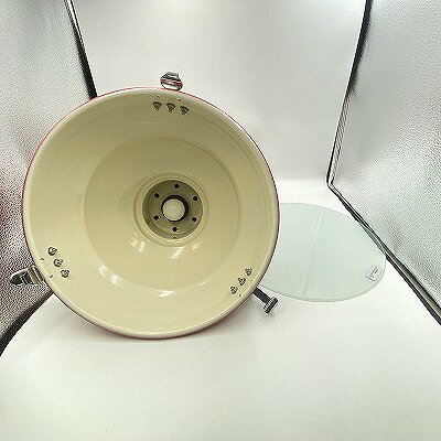 【全品ポイント10倍!要エントリー】【期間限定セール】ダルトン DULTON シーリングライト 【中古】