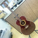 【ポイント10倍!要エントリー!】【期間限定セール】タカミネ Takamine エレクトリックアコースティックギター PT507 【中古】