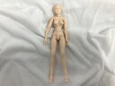 S.H.フィギュアーツ S.H.Figuarts ボディちゃん 2327699 【中古】