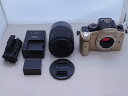 パナソニック Panasonic ミラーレス一眼カメラ レンズキット フォーサーズ DMC-GH1 / H-VSO14140 【中古】