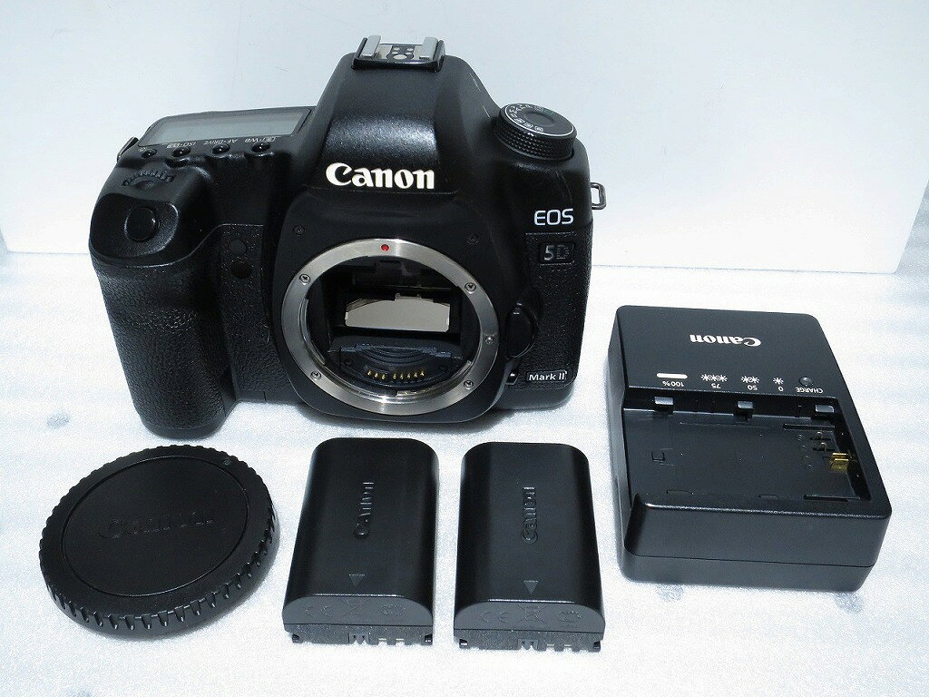 楽天市場】eos 5d 初代（TV・オーディオ・カメラ）の通販