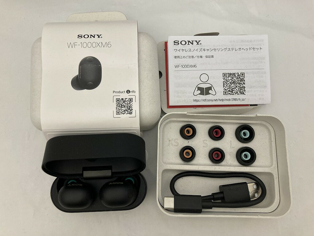 楽天市場】sony ワイヤレスイヤホン wf-1000xm6の通販