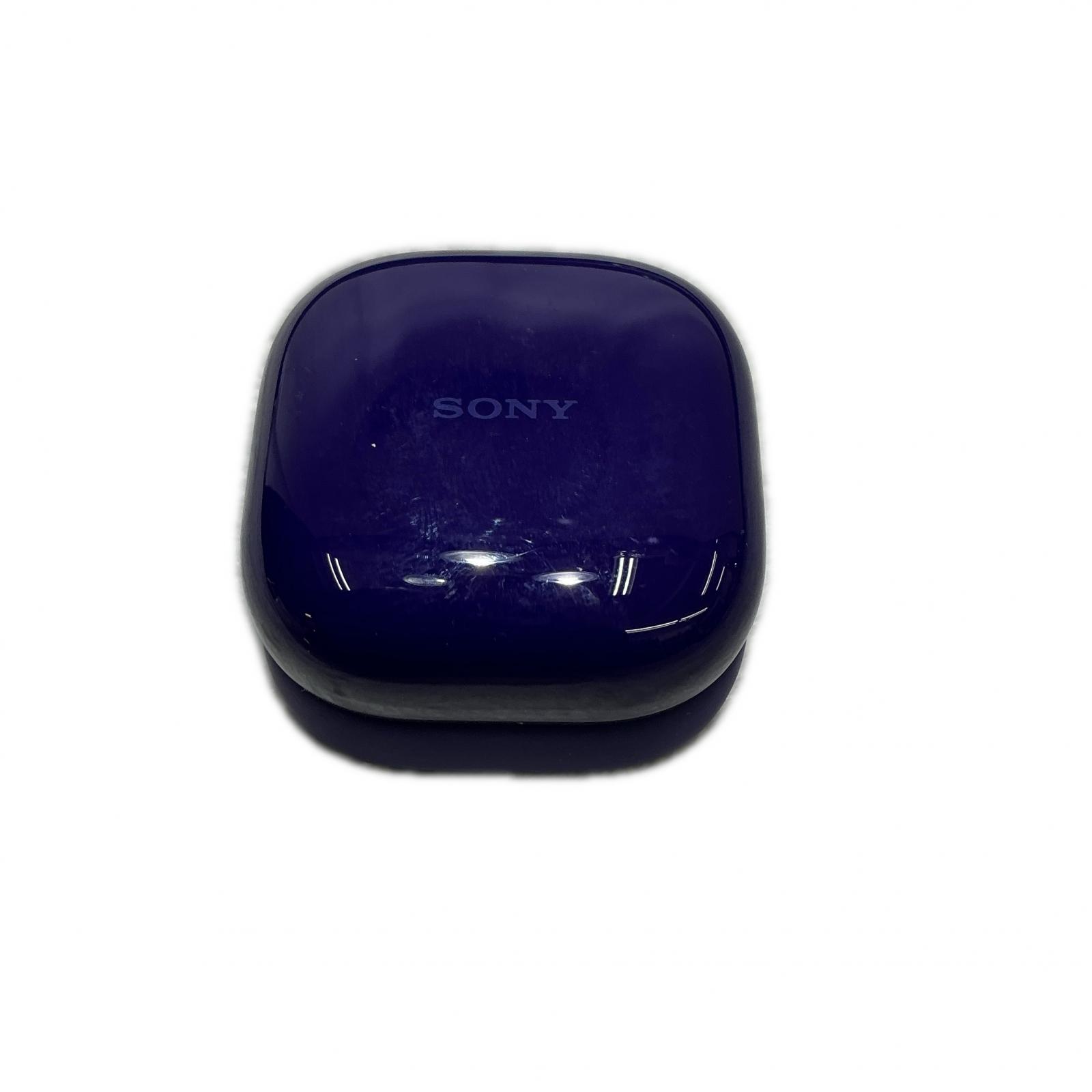 Sound-Isolating Type - ソニー SONY イヤホン WF-LS910N【中古】