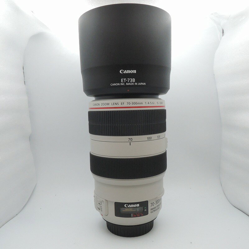 楽天市場】canon ef 300 4 l usmの通販