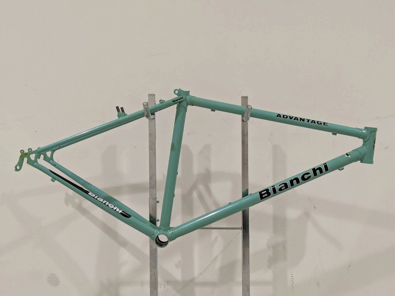 【10/4(日)20時〜全品ポイント10倍！要エントリー】BIANCHI BIANCHI フレーム ADVA...