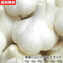 【セール価格】青森にんにく B品 2Lサイズ 1kg〜10kg 国産 福地ホワイト六片 食用 令和6年【送料無料】