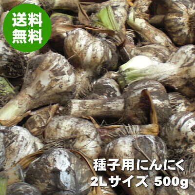 楽天市場】福地ホワイト六片 2lの通販