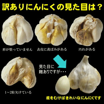 青森にんにく 訳あり Lサイズ 10kg 福地ホワイト六片種 令和元年【送料無料】