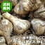 青森にんにく 種子用 Lサイズ 4kg 福地ホワイト六片(たね・種球)令和3年【送料無料】