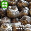 青森にんにく 種子用 Mサイズ 5kg 福地ホワイト六片(たね・種球)令和3年【送料無料】