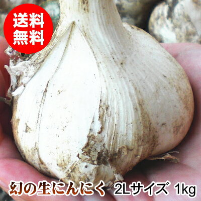 楽天市場】福地ホワイト六片 2lの通販