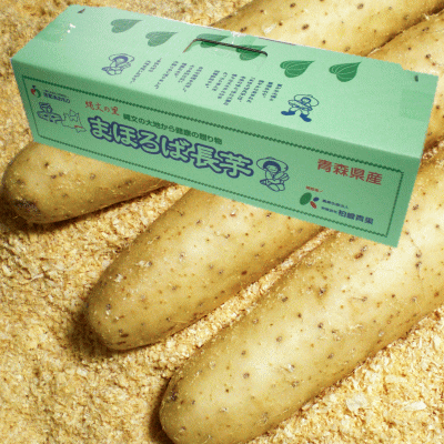 特選ながいも『青森県産まほろば長芋：贈答用2Lサイズ』10kg[※破損防止・保存用としておがくず詰め]【送料無料】