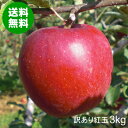 【送料無料】青森県産りんご紅玉加工用訳あり品約3kg[バラ入り・さび・黒ほし・色むら・枝傷有・...