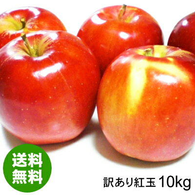 青森県産紅玉 約10kg 加工用 訳あり[バラ入り・さび・黒ほし・色むら・枝傷有・輸送時の押し傷有]令和4年産【送料無料】