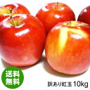 【送料無料】青森県産りんご紅玉加工用訳あり品約10kg[バラ入り・さび・黒ほし・色むら・枝傷有・輸送時の押し傷有]令和元年産