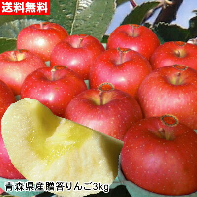 【12月上旬頃出荷開始】お歳暮に最適な旬の新鮮青森リンゴ『サンふじ』ギフトセット[約3kg]【送料無料】