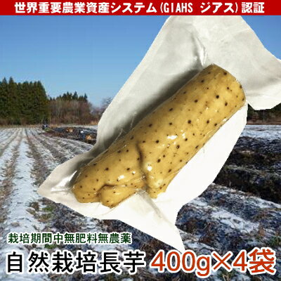 栽培期間中無肥料無農薬長芋「自然栽培長芋」400g×4袋【送料無料】