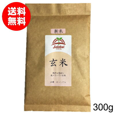 栽培期間中無肥料無農薬米まっしぐら玄米300g（令和5年産・青森県産）【送料無料】