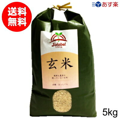 【あす楽】栽培期間中無肥料無農薬米まっしぐら玄米5kg（令和5年産 青森県産）【送料無料】