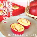 朝の八甲田津軽りんご とろけるチーズケーキ 10個入 郷アルパジョン（洋菓子 ギフト） 【送料無料】