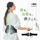 WAVEWAVE LUMBAR BELT 骨盤ベルト 腰 サポーター ...(4)