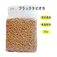 学園祭/祭り/文化祭生ブラックタピオカ【300杯分】セット加常温保存送料無料(離島を除く)翌日発送