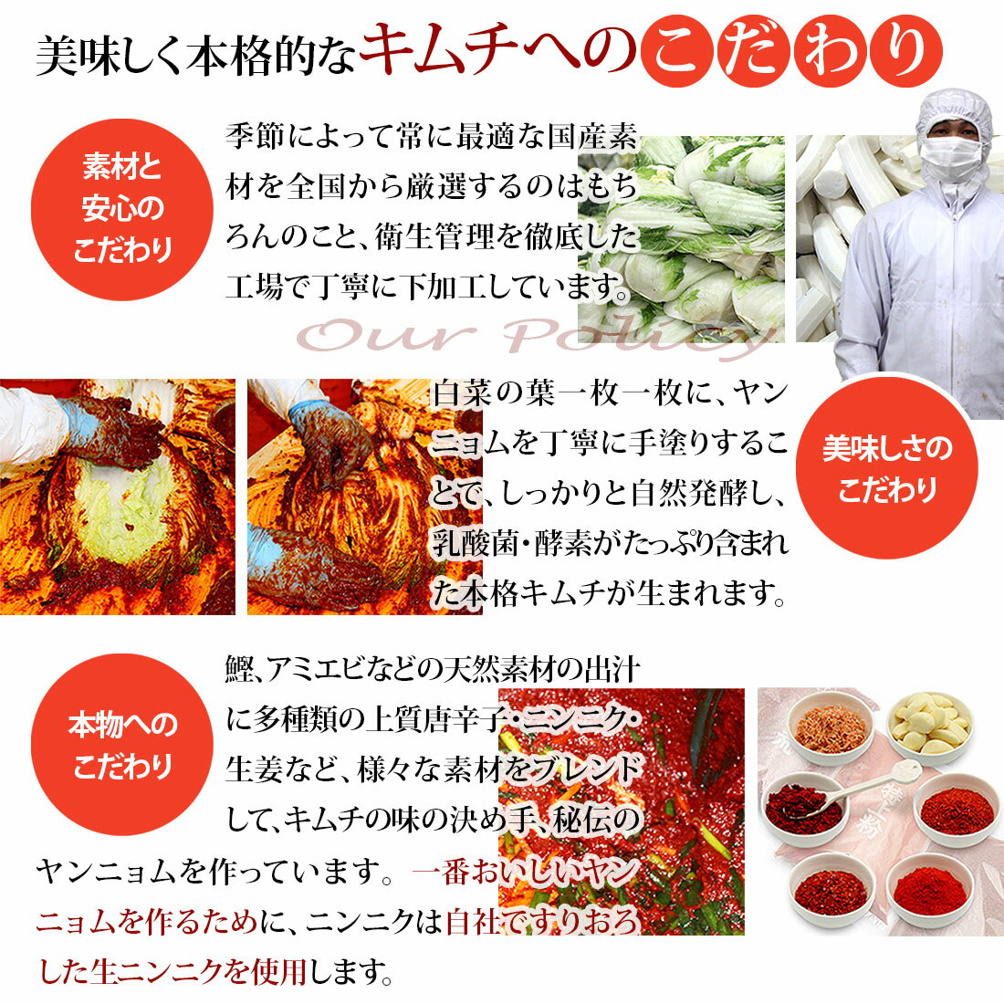 【送料無料(北海道・沖縄を除く)】胡瓜キムチ 1kg キムチ お漬物 国産 乳酸菌 発酵 発酵食品 自然発酵 ギフト ご飯のお供 韓国 唐辛子 キムチ鍋 株漬け 手塗り きゅうり オイキムチ