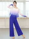 レディース モダンダンス 服 スーツ クラシックダンス レトロ 練習 服 ゆったり エレガント メッシュ トップス ロング パンツ
