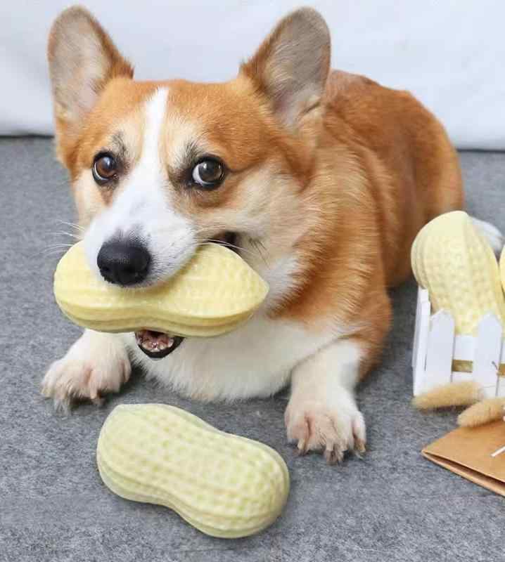 ペット おもちゃ ワンちゃん ペット 犬 おもちゃ 模擬音 ピーナッツ 退屈 和らげる アーティファクト ..