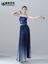 クラシック ダンス スカート ウェア コスチューム 衣装 練習 ステージ パフォーマンス トレーニング 女性 フィット レディース