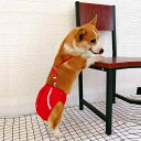 犬 サニタリー パンツ メス コーギー 生理 小さな 大きな 肩ひも パッド リボン ボタン 赤 水玉 かわいい 下着 繰り返し 洗濯 柔らかい 通気性 おむつ...