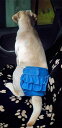 犬 サニタリー パンツ メス ゴールデンレトリバー コーギー 生理 大きいサイズ 下着 薄手 厚手 マナー ナプキン 介護 かわいい おむつ 通気性 メッシュ ...