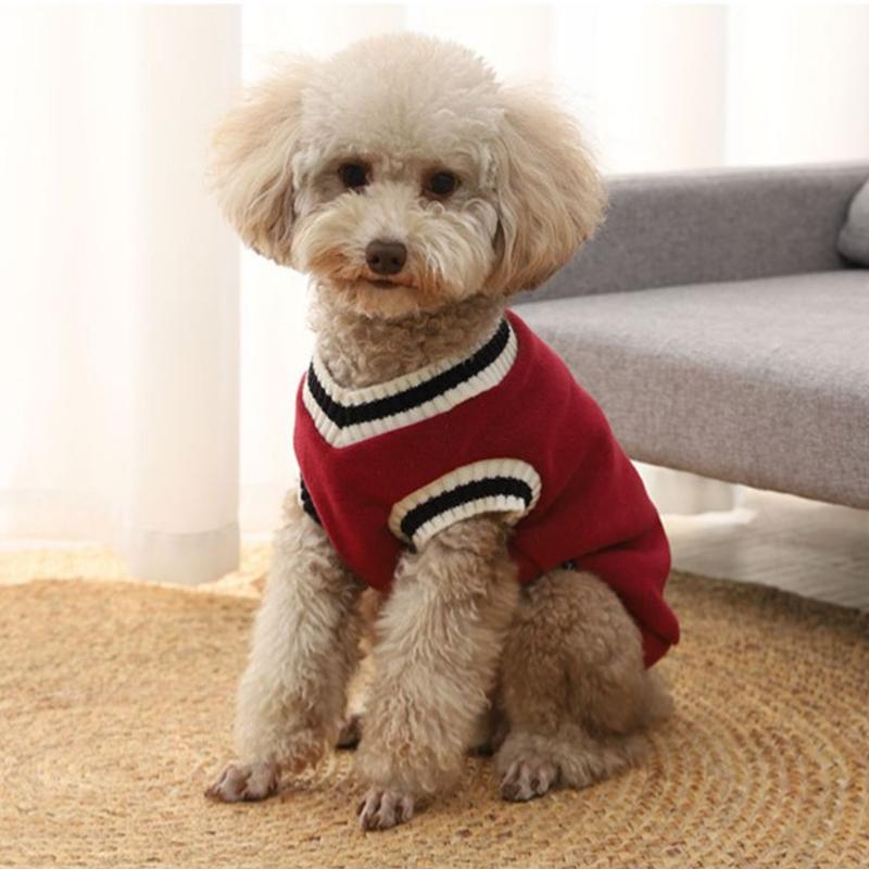 犬 洋服 可愛い 春秋 暖かい カレッジ スタイル 小型 ペット 散歩 お出かけ 赤 緑 黄色 ワッペン 着せやすい シンプル 3色 チワワ トイプードル