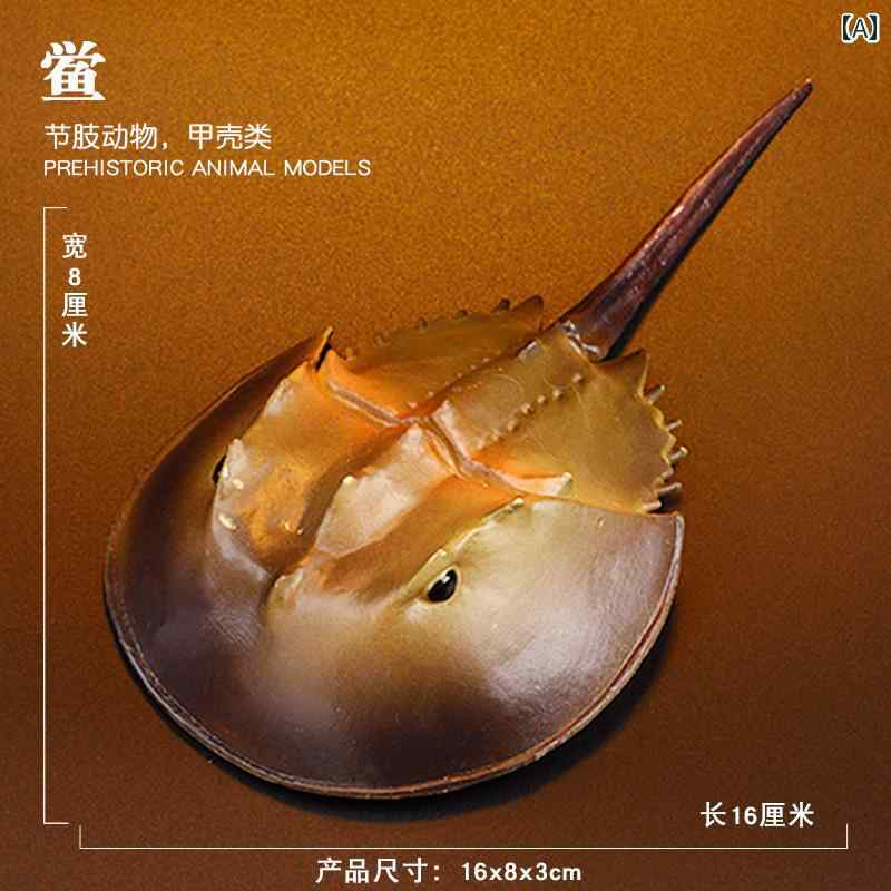   ꥢ θʪ Ҷ  ΰ  ع ձ ץ饤 ե奢  ץ쥼 ֥ȥ  奴