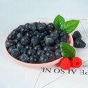 食品 サンプル リアル 見本 食玩 模擬 ブルーベリー ラズベリー フェイク フルーツ 果物 野菜 写真 撮影 小道具家 装飾