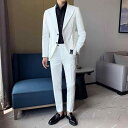 メンズ スーツ セット ジャケット ブレザー ツーピース ズボン パンツ ロング カジュアル スリム 男性 パーティー ステージ パフォーマンス 司会 歌手 マ...