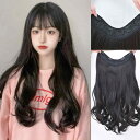 ウィッグ おしゃれ ロングヘアー 女性用 ウィッグ 大きい ウェーブ かかった ロングヘア 巻き髪 ネット ワンピース U字型 シームレス ロング ストレート ...
