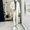メンズ スーツ セット ジャケット ブレザー ツーピース ズボン パンツ ロング シャツ カットソー 春夏 男性 パーティー ステージ パフォーマンス 司会 歌...