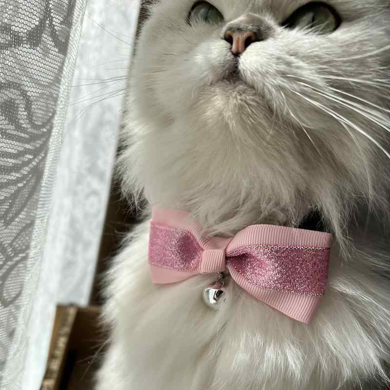 猫 首輪 リボン 蝶ネクタイ 調節可能 ベルト キラキラ かわいい 迷子防止 鈴付き ペット用品 チョーカー 犬 ゴールド ピンク ブルー
