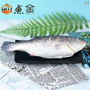 食品サンプル 模型 業務用 店舗用品 料理 調理 模擬 食品 食べ物 精巧 飲食店 見本 店頭 リアル 芸術的 おいしそう 魚