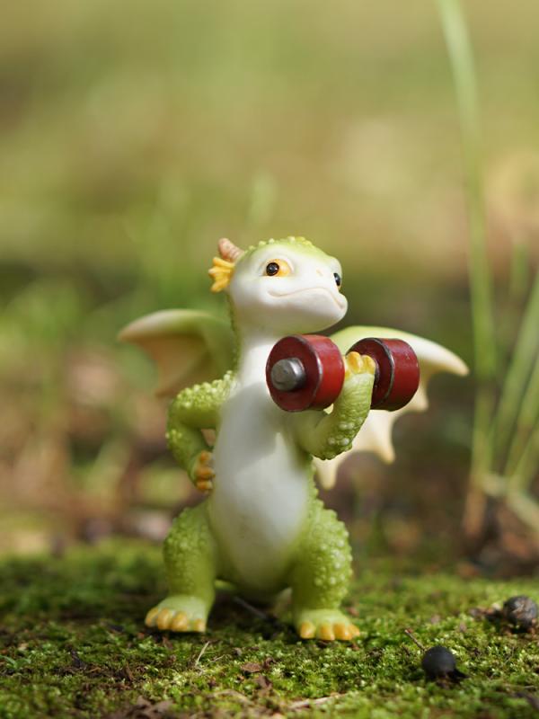 置物 ガーデニング オーナメント 室内 ディスク 装飾 ディスプレイ インテリア 小物 日常生活 かわいい さわやか モチーフ 癒し 動物 ドラゴン 筋トレ フィットネス 恐竜