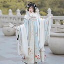 漢服 レディース 女性用 唐風 中華風 プリンセス風 オリジナル 大袖トップス ワイドスリーブ ハイウエスト プリーツスカート 裏起毛 保温 防寒 ウール調 ポリエステル 花蝶刺繍 冬