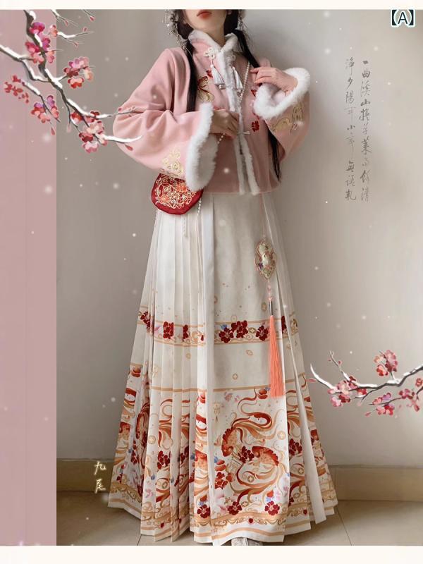 漢服 レディース 明代風 新チャイナスタイル 立ち襟 裏起毛 厚手 刺繍 馬面スカート 衣装 学生 普段使い デイリー 中国伝統 秋冬 ピンク ホワイト レッド