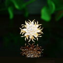 ブローチ レディース 欧米風 スノーフレーク ひまわり ジルコニア マイクロパヴェ 銅製 電気メッキ加工 花型 幾何学模様 ゴールド シルバー ラペルピン 襟ピン 上品 エレガント ファッション小物 ギフト プレゼント