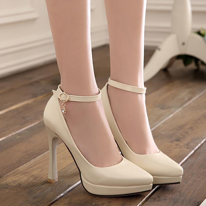 ѥץ ǥ ղ 쥬  ϥҡ ٥ҡ ԥҡ ݥƥåɥȥ  ȥå 󥯥륹ȥå ե ̶ ...