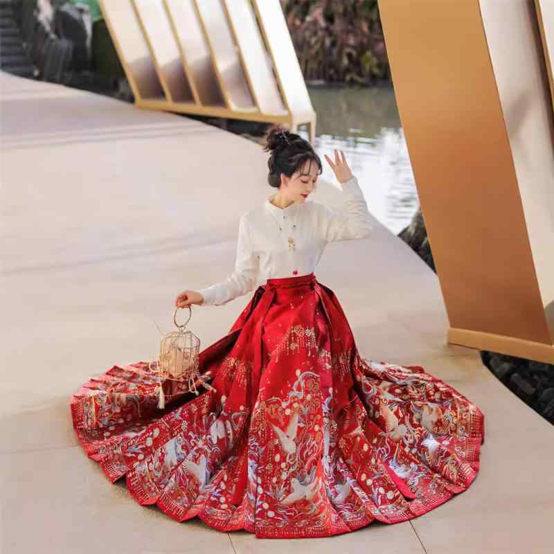 漢服 レディース 女性用 中国伝統衣装 明代様式 交襟トップス 織金刺繍 マーミェン裙 馬面スカート 切り替え セットアップ ポリエステル 日常使い パーティー 披露宴