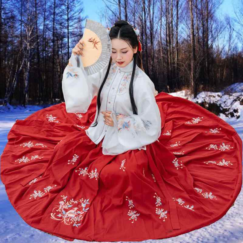 漢服 レディース 明朝様式 古典衣装 襖裙 上下セット 立ち襟 ショート丈ブラウス ベルスリーブ 刺繍 馬面裙 ウエスト丈 プリーツスカート スリーシーズン 綿 ポリエステル素材 カジュアル