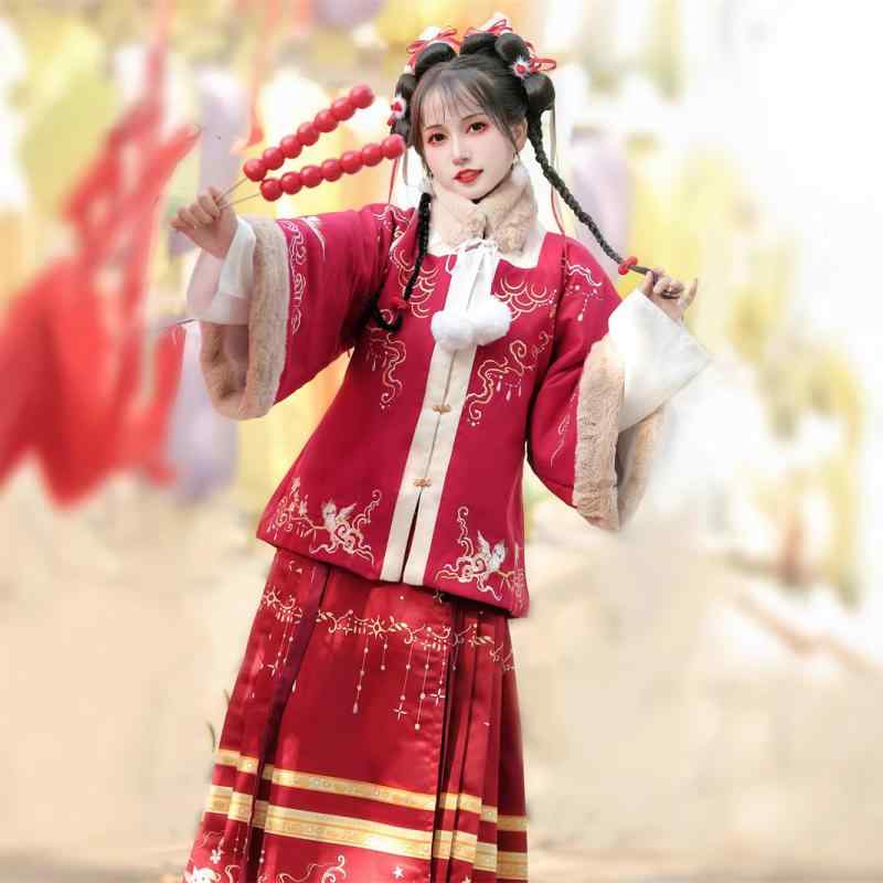 漢服 女性用 明朝スタイル 襖裙 馬面裙 セットアップ 厚手 暖かい 防寒 改良デザイン モダン 刺繍 上品 華やか お正月 晴れ着 新春 イベント 秋冬