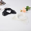 付け襟 レディース オーガンジー 刺繍 デザイン性 ビッグポインテッドカラー 上品 エレガント おしゃれ 重ね着 羽織り ニット セーター 白 黒 ポリエステル...