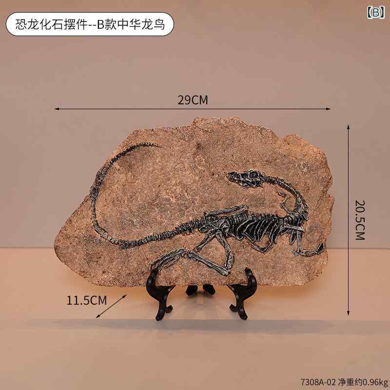 恐竜化石レプリカ 壁飾り（3枚目）